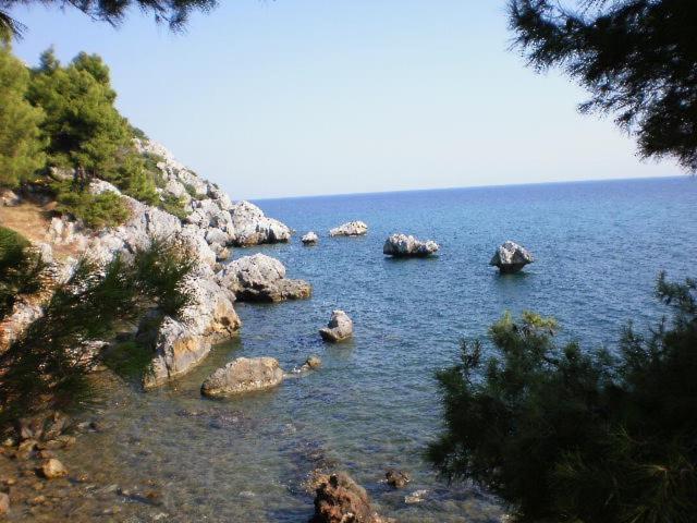 Studios Rosa Agia Paraskevi  Exteriör bild