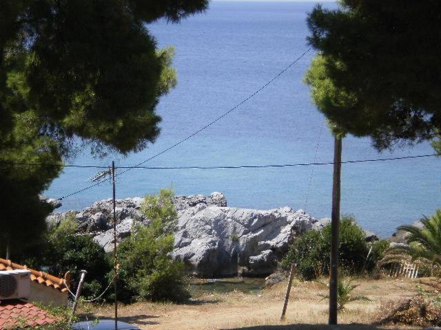 Studios Rosa Agia Paraskevi  Exteriör bild