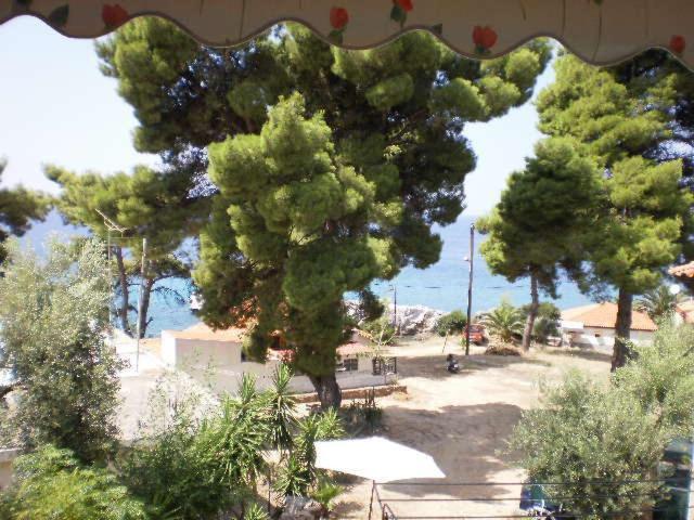 Studios Rosa Agia Paraskevi  Exteriör bild