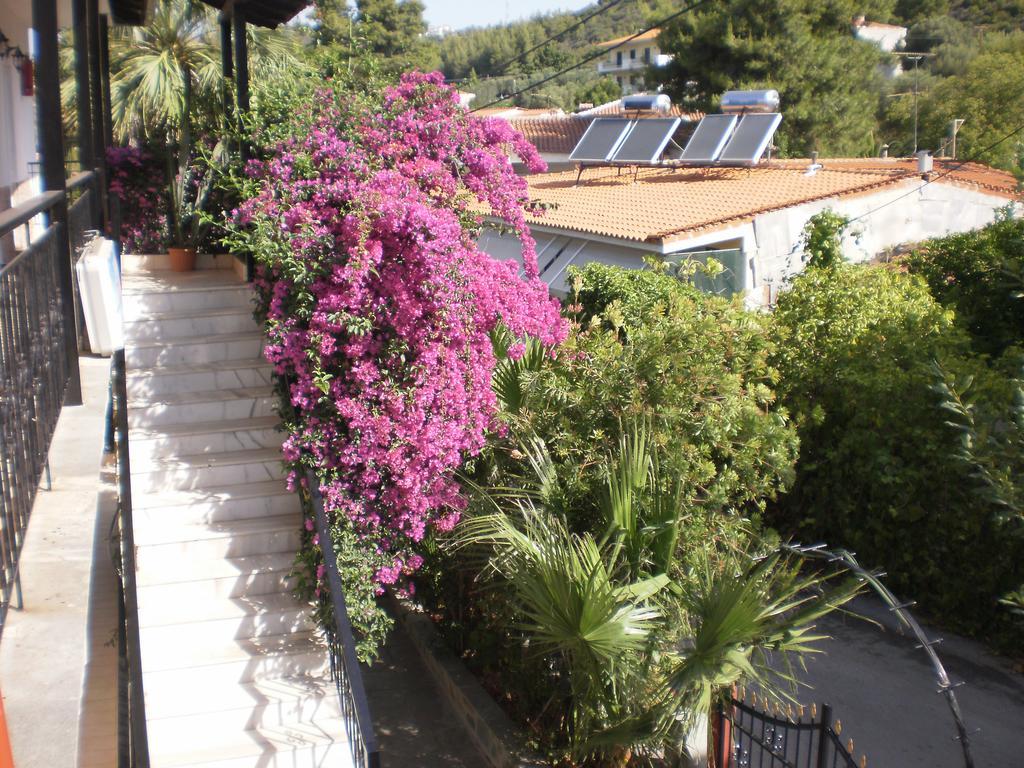 Studios Rosa Agia Paraskevi  Exteriör bild