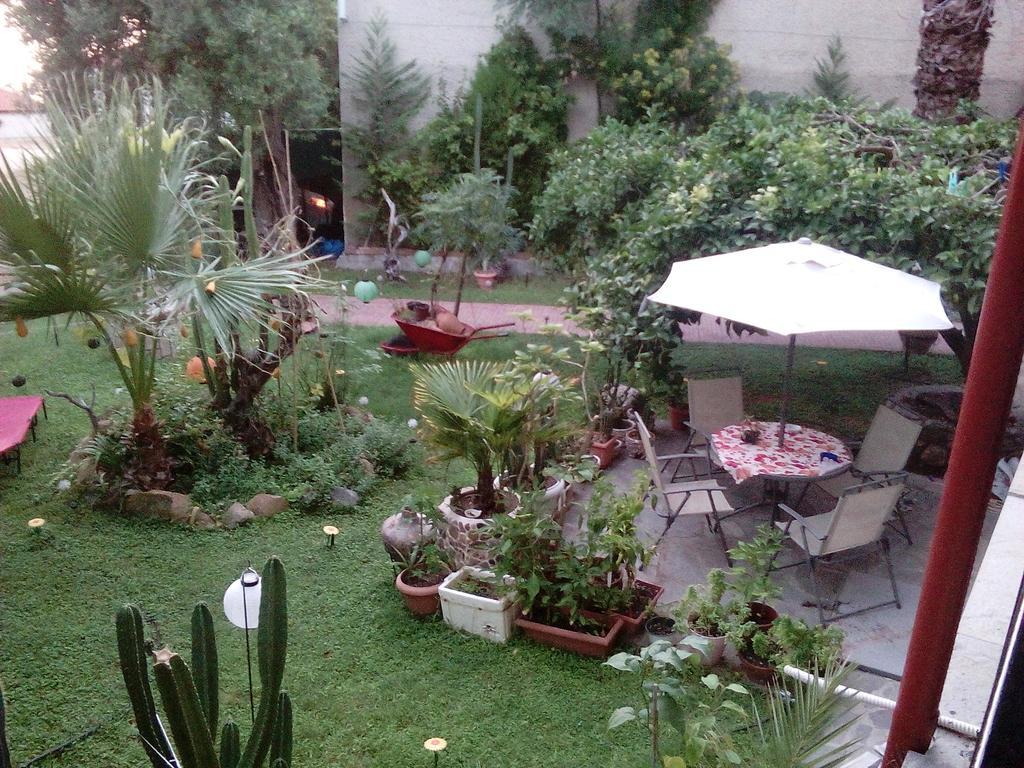 Studios Rosa Agia Paraskevi  Exteriör bild